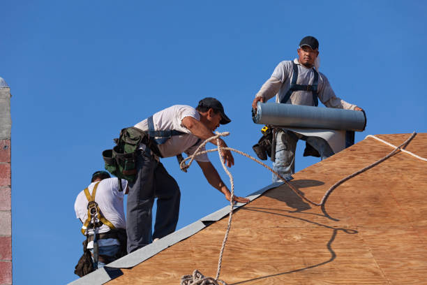 Best Metal Roofing Contractor  in Rainier, OR